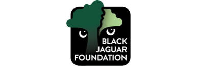 black-jaguar-foundation