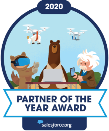 Partner of the year award - EMEA 